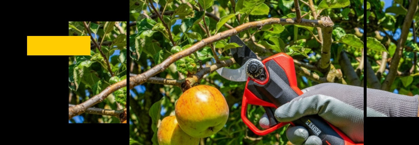 Ψαλίδια Κλαδέματος Μπαταρίας